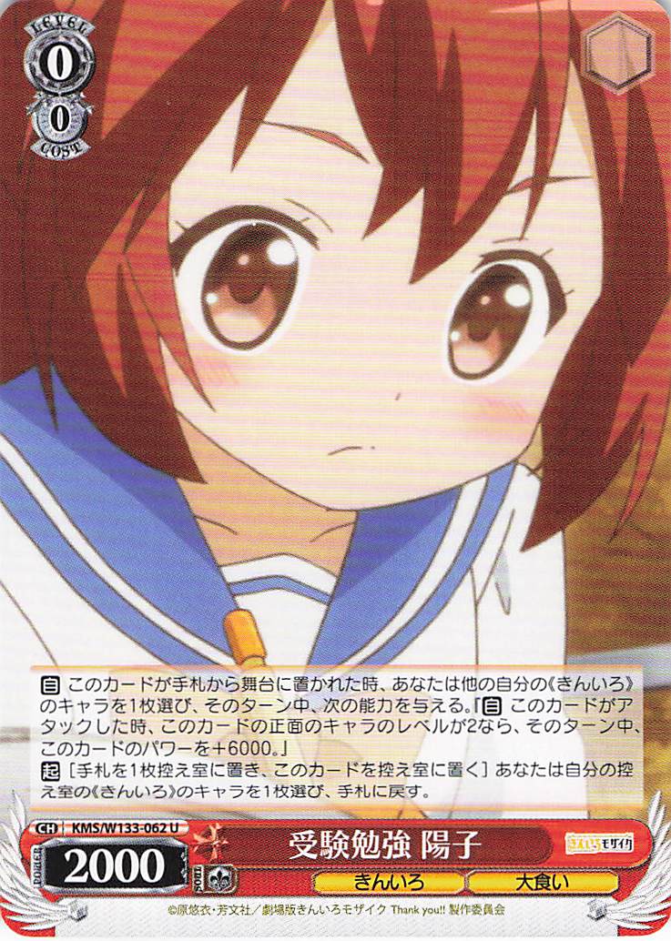 受験勉強 陽子(U)(KMS/W133-062)