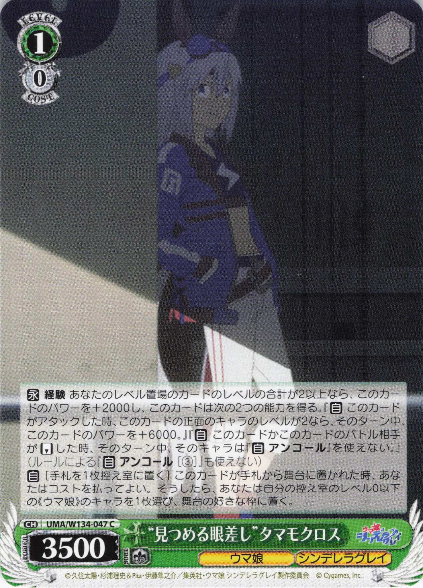 “見つめる眼差し”タマモクロス(C)(UMA/W134-047)