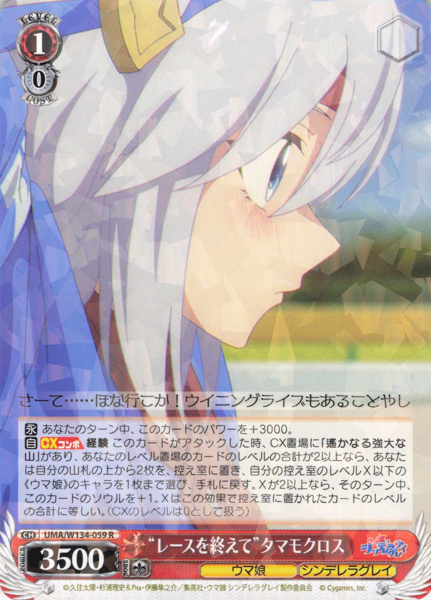 “レースを終えて”タマモクロス(R)(UMA/W134-059)