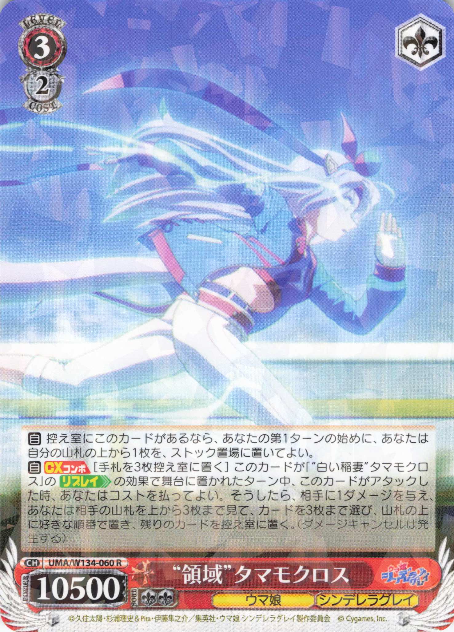 “領域”タマモクロス(R)(UMA/W134-060)