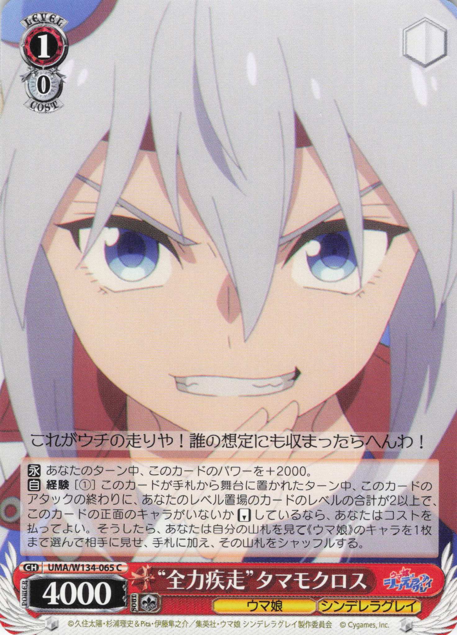 “全力疾走”タマモクロス(C)(UMA/W134-065)