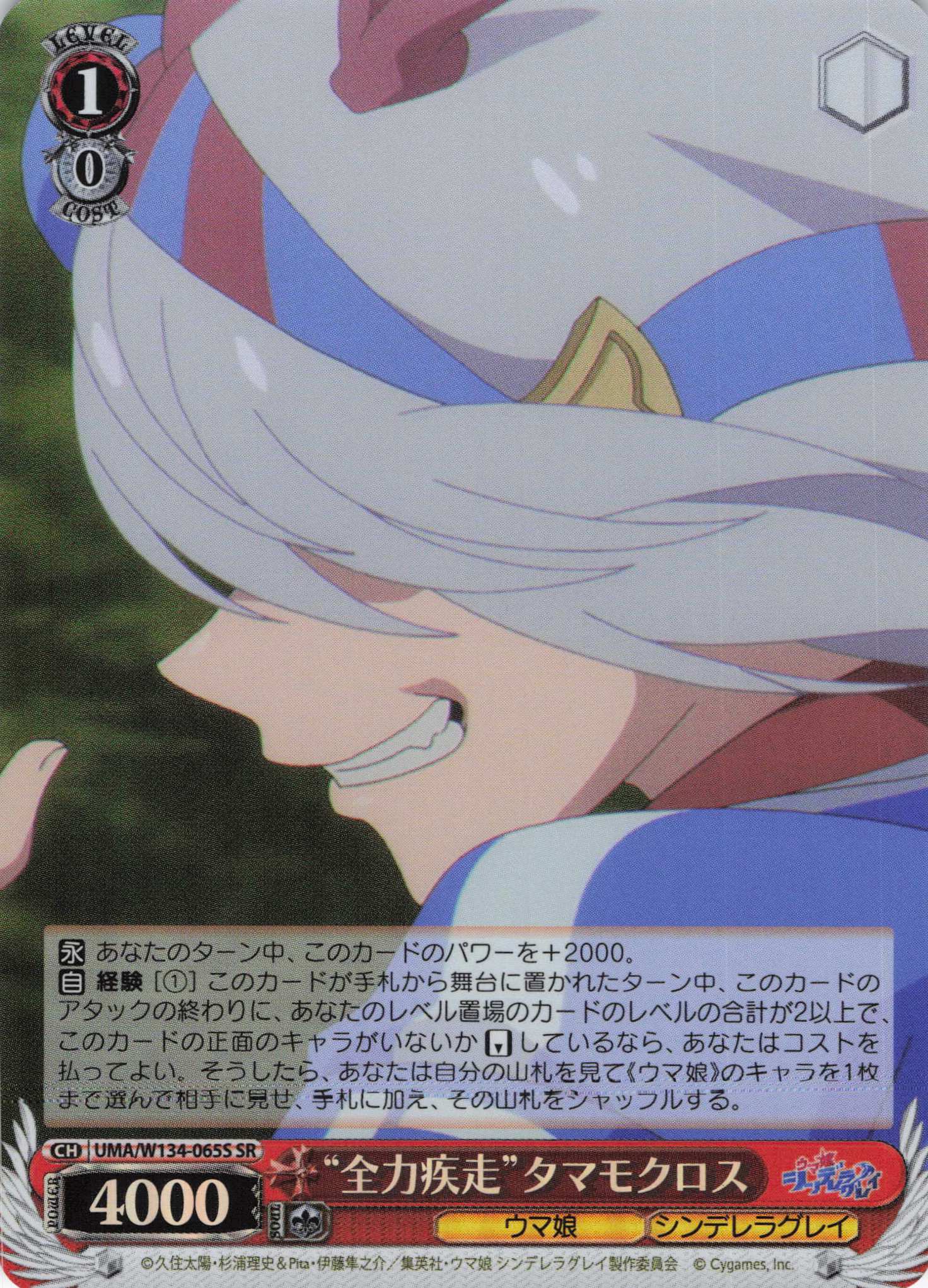 “全力疾走”タマモクロス(SR)(UMA/W134-065S)