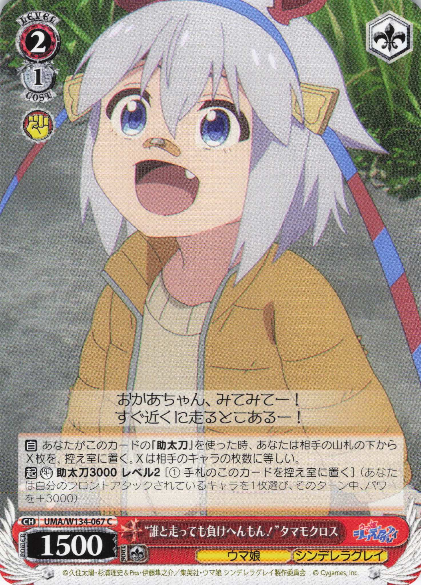 “誰と走っても負けへんもん！”タマモクロス(C)(UMA/W134-067)