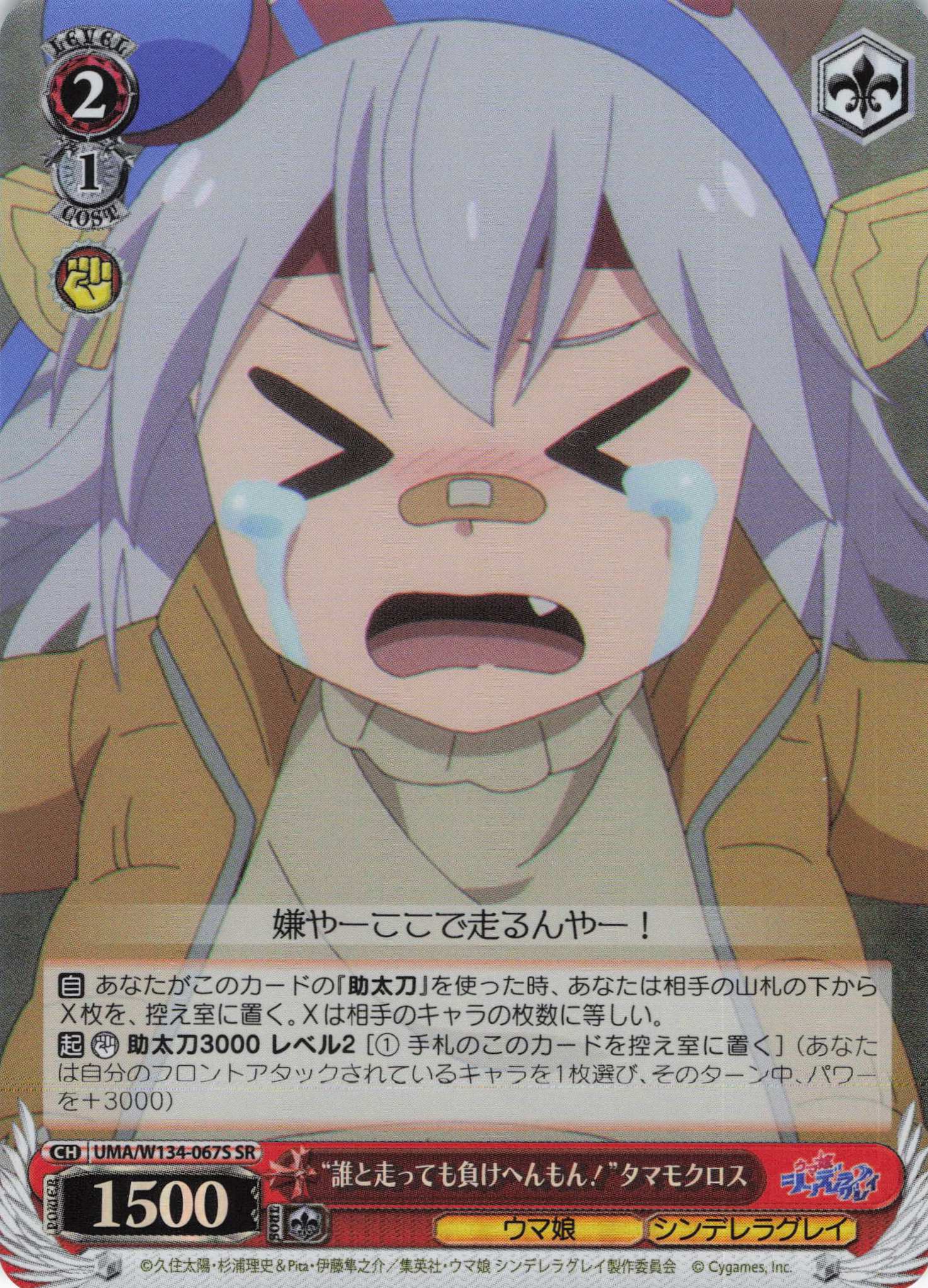 “誰と走っても負けへんもん！”タマモクロス(SR)(UMA/W134-067S)