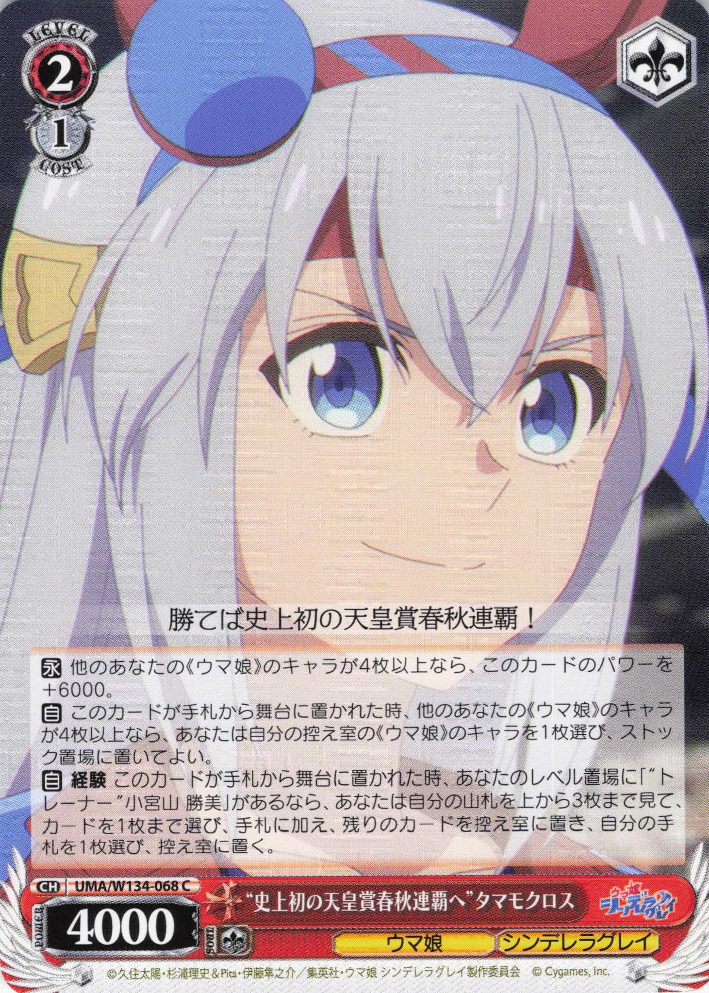 “史上初の天皇賞春秋連覇へ”タマモクロス(C)(UMA/W134-068)