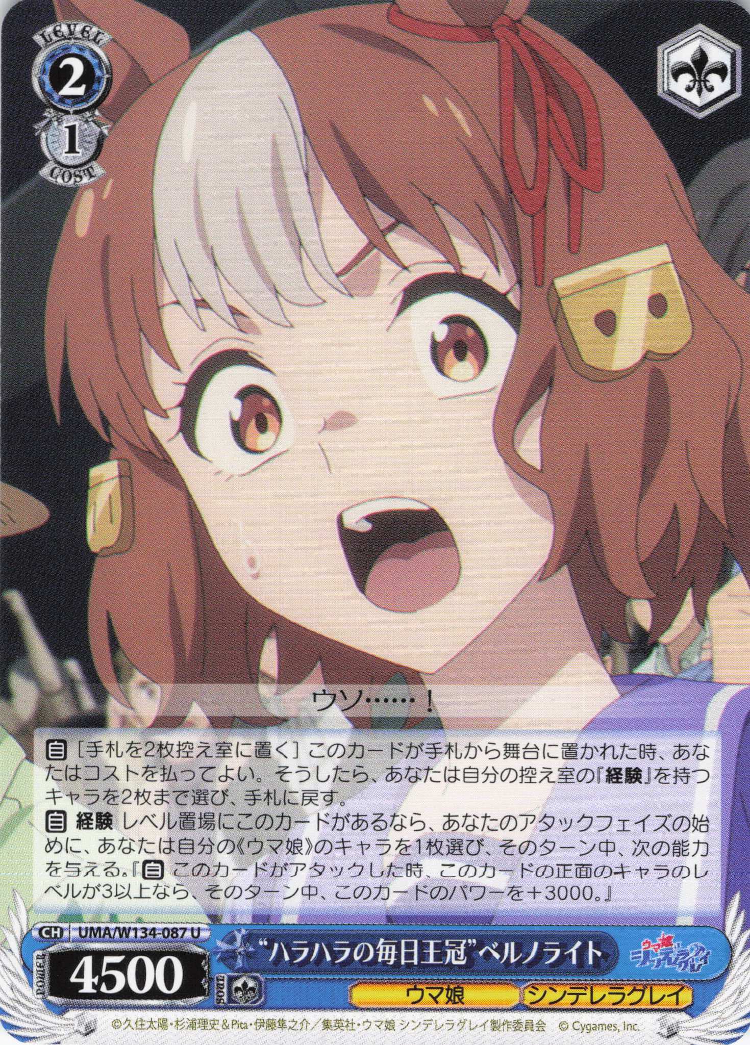 “ハラハラの毎日王冠”ベルノライト(U)(UMA/W134-087)