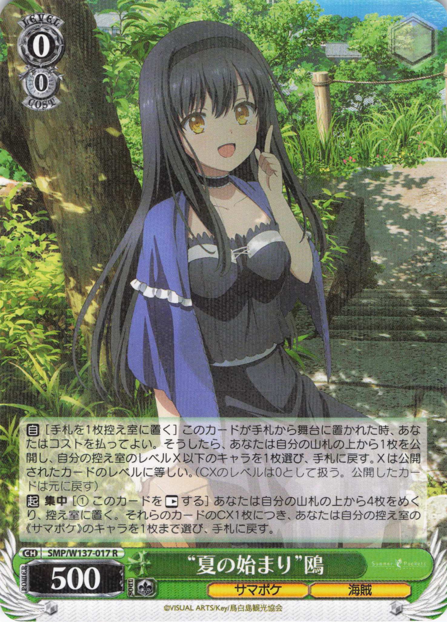 “夏の始まり”鴎(R)(SMP/W137-017)