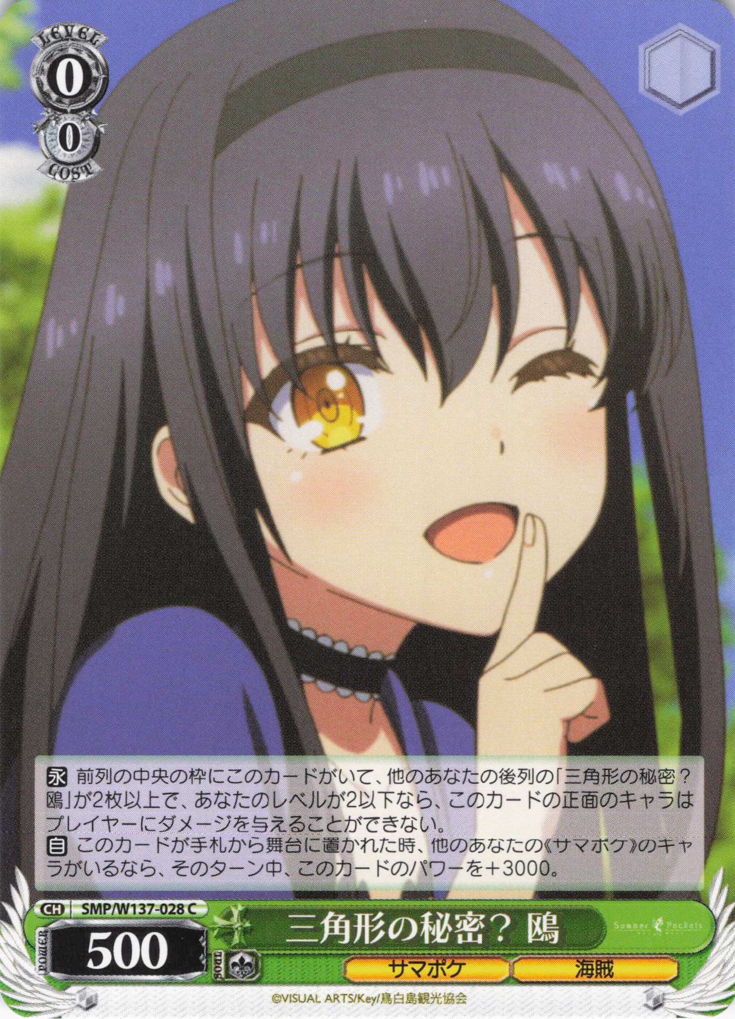 三角形の秘密？ 鴎(C)(SMP/W137-028)