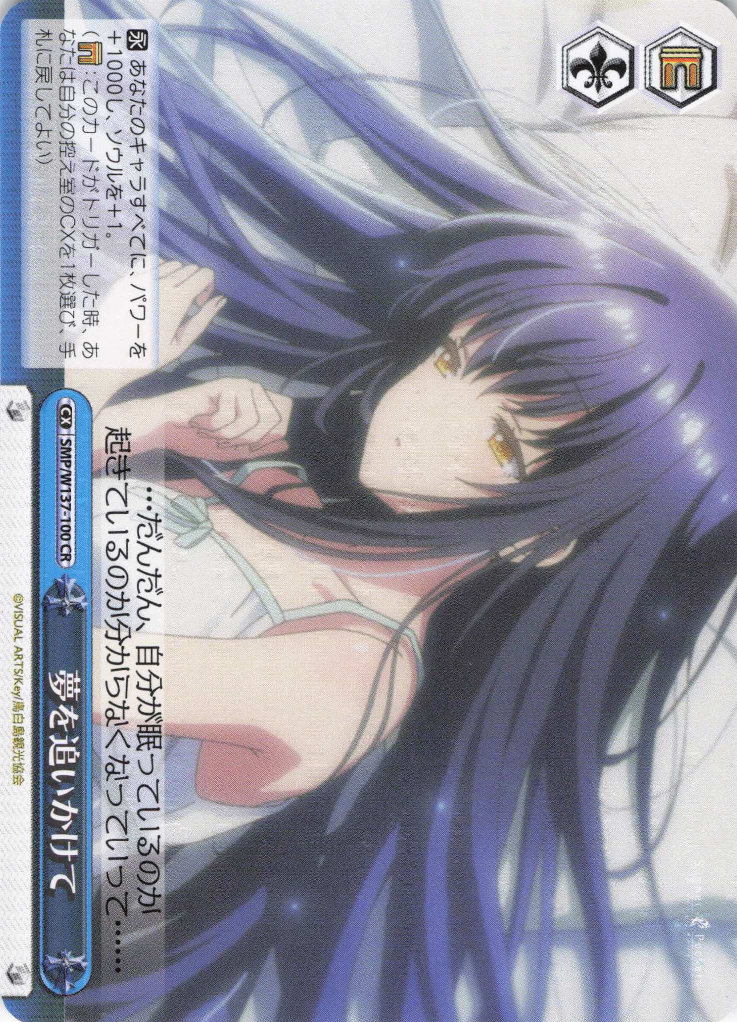 夢を追いかけて(CR)(SMP/W137-100)