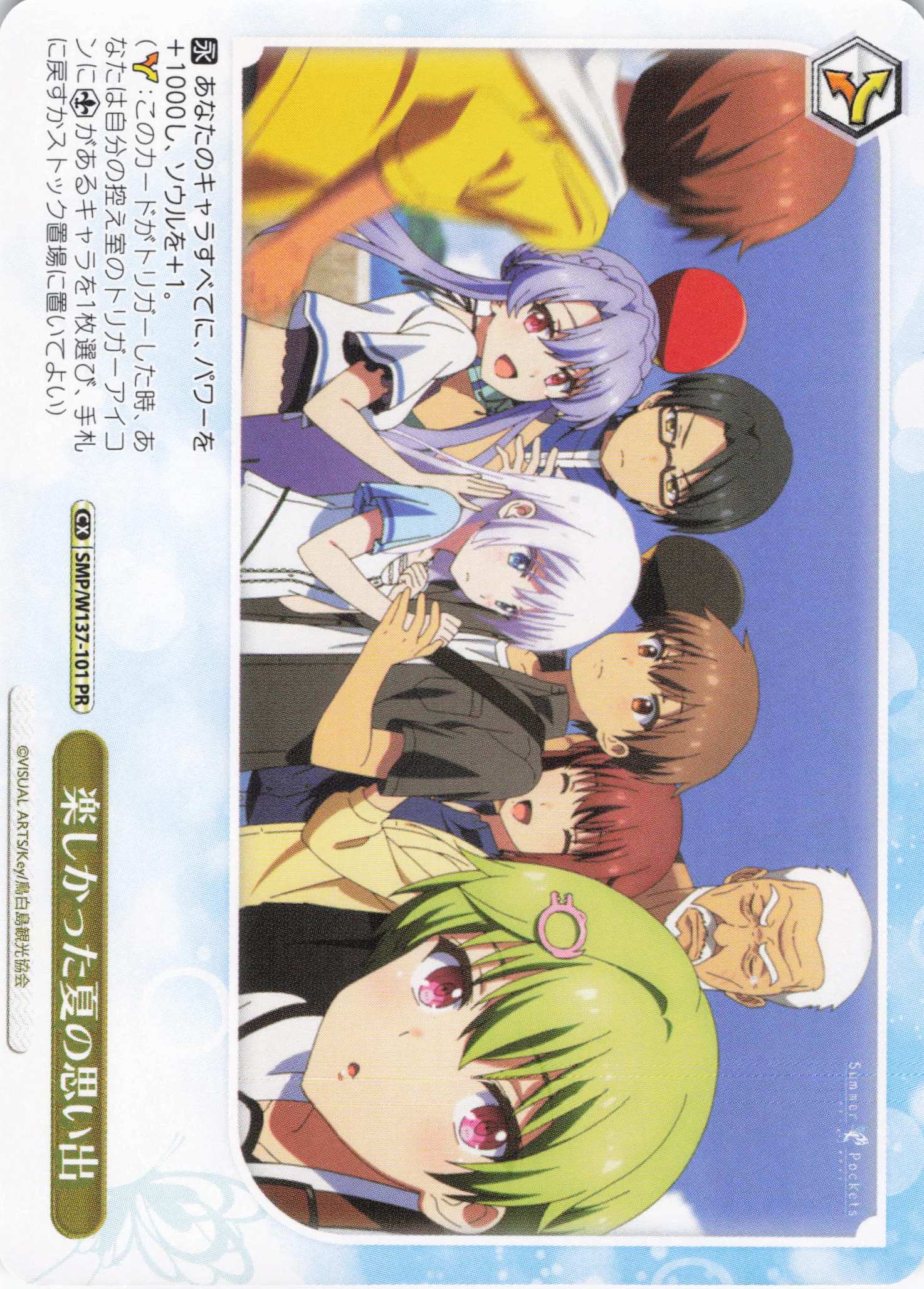 楽しかった夏の思い出(PR)(SMP/W137-101)