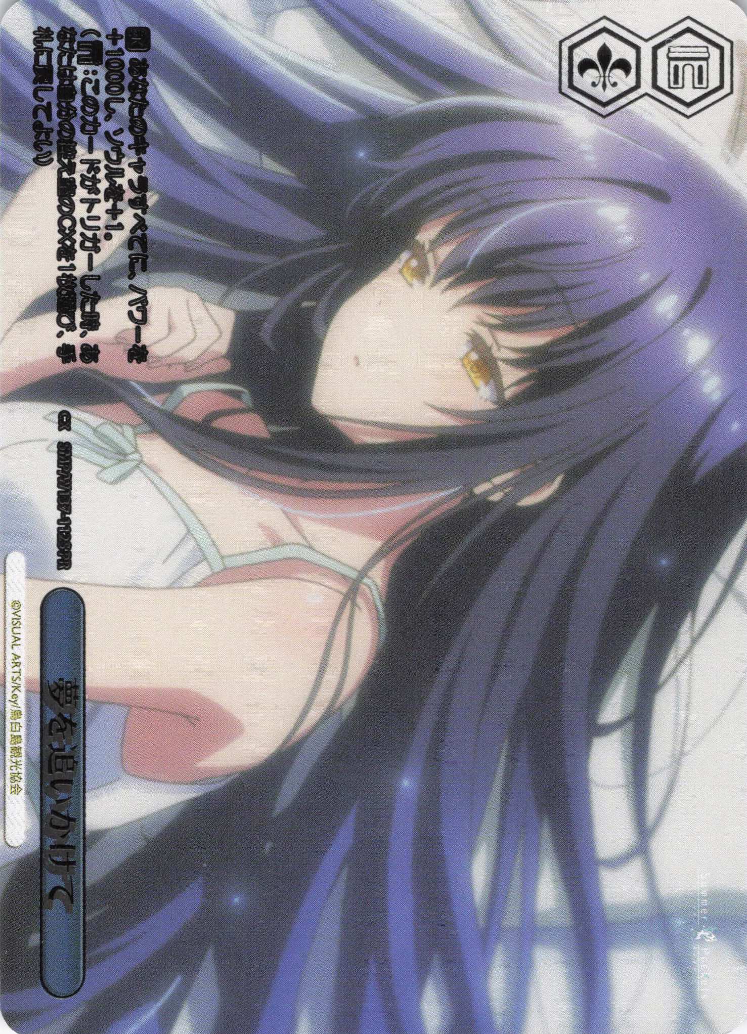 夢を追いかけて(SPR)(SMP/W137-112S)