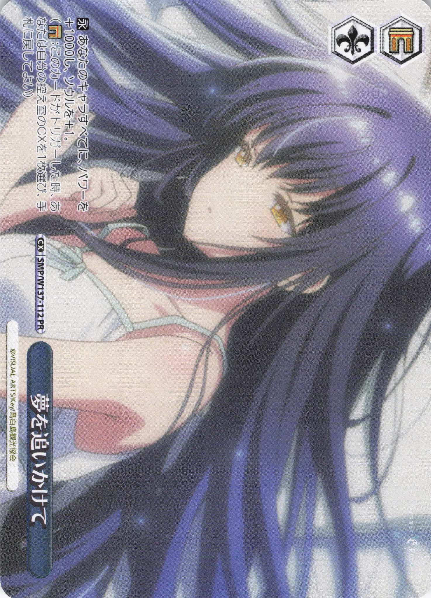 夢を追いかけて(PR)(SMP/W137-112)